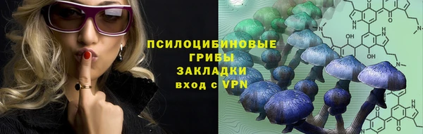 apvp Верхний Тагил